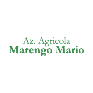 Mario Marengo