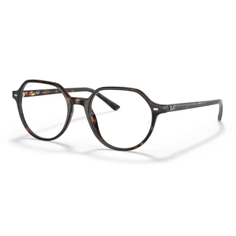 レイバン公式ストア】 Ray-Ban® LARRY X THE ONES サングラス