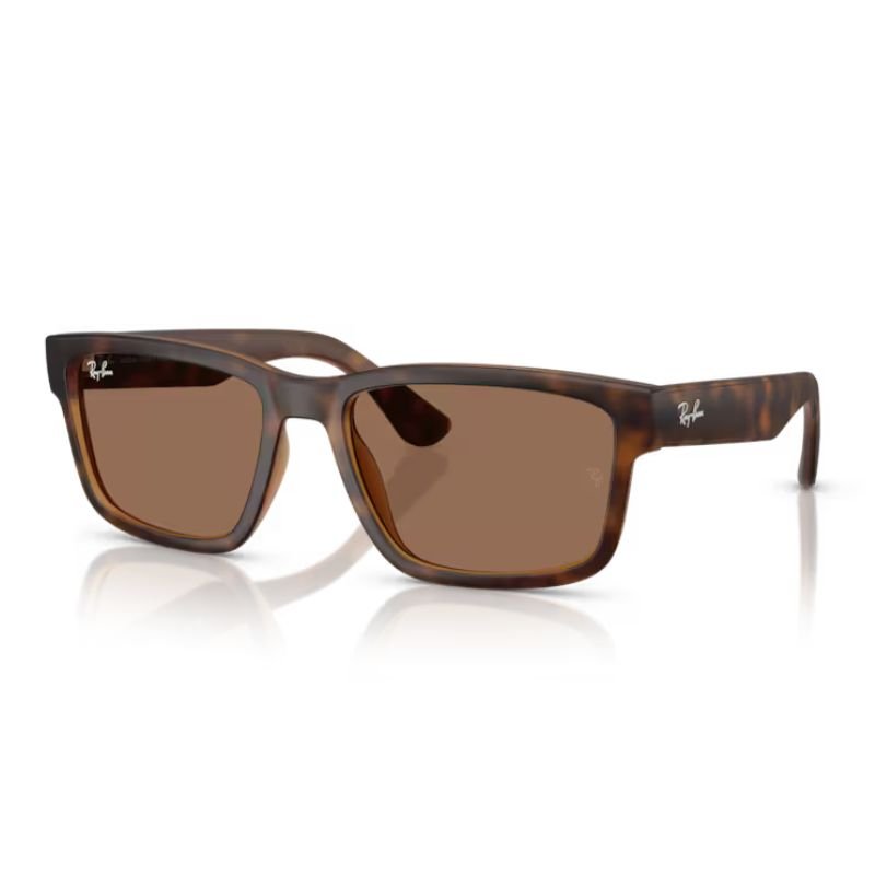 Óculos de Sol RayBan RB4438L Marrom Havana Fosco Masculino | Univisão Ótica