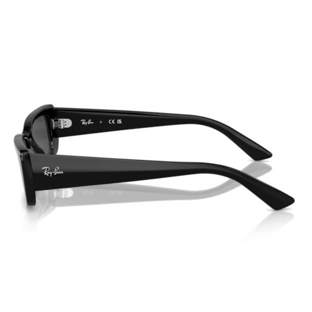 Ray-Ban(レイバン) サングラスRB4425F TERUユニセックス大人 Óculos de Sol RayBan Teru RB4425 Preto Retangular | Univisão Ótica