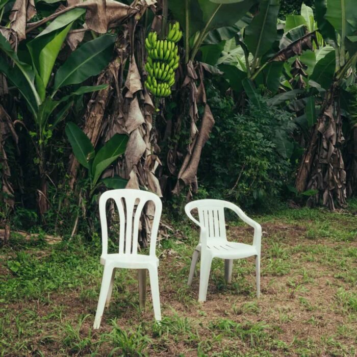 LP Vinil Bad Bunny - DeBÍ TiRAR MáS FOToS (Vinil Branco/ Duplo