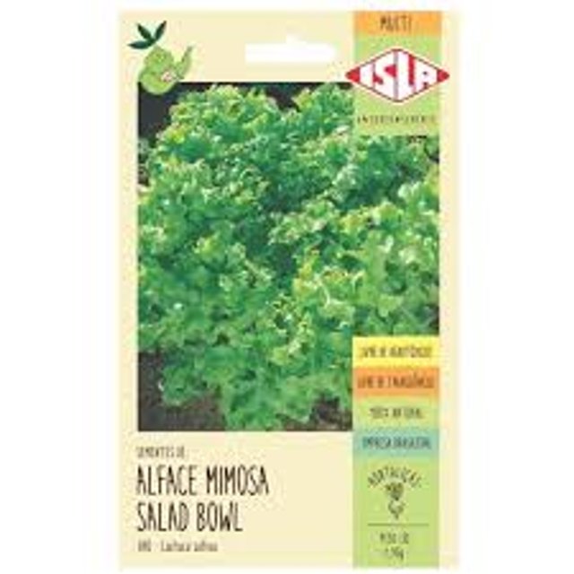 Alface Mimosa Salad Bowl