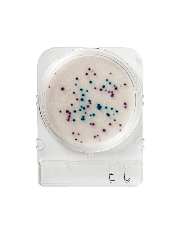 Compact Dry Coliformes e E. Coli EC - 100 testes | Reagentes Químicos ...