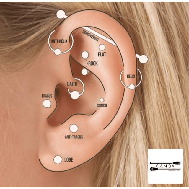 Piercing de cobrinha para o hélix ou trágus - Sereias de Vix - Acessórios  em Aço Inoxidável