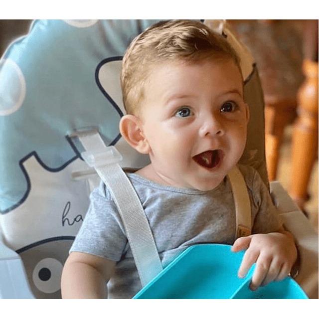 Silla de comer para bebé Galzerano CADEIRA ALTA NICK PANDA cadeira de alimentacao  bebe - cadeira alimentacao