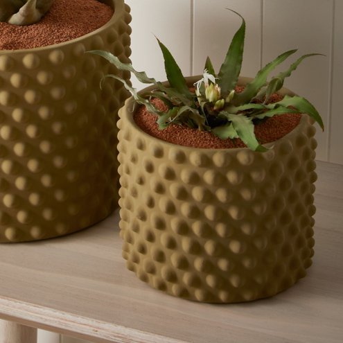 decoracao-cachepot-spikes-verde-p-1663174207446