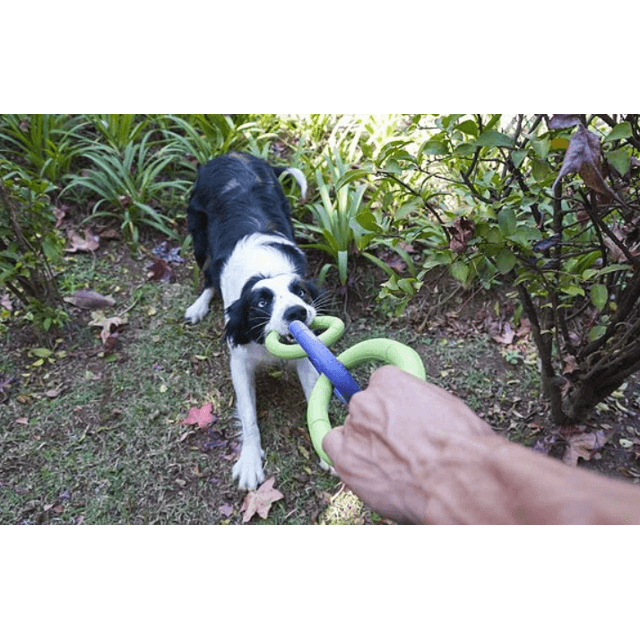 Cabo de Guerra JW Invincible Chains Triple G | Three Pets