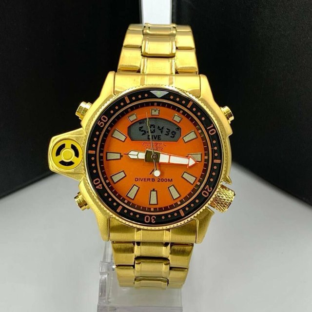Relógio Citizen Aqualand Cod FE1326 | WF GRIFES E SURF