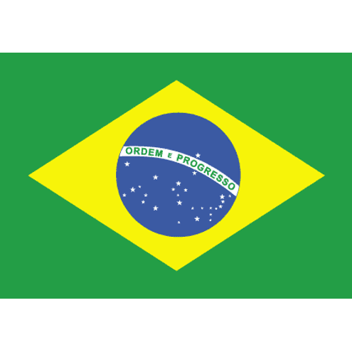 brazil-flag-300