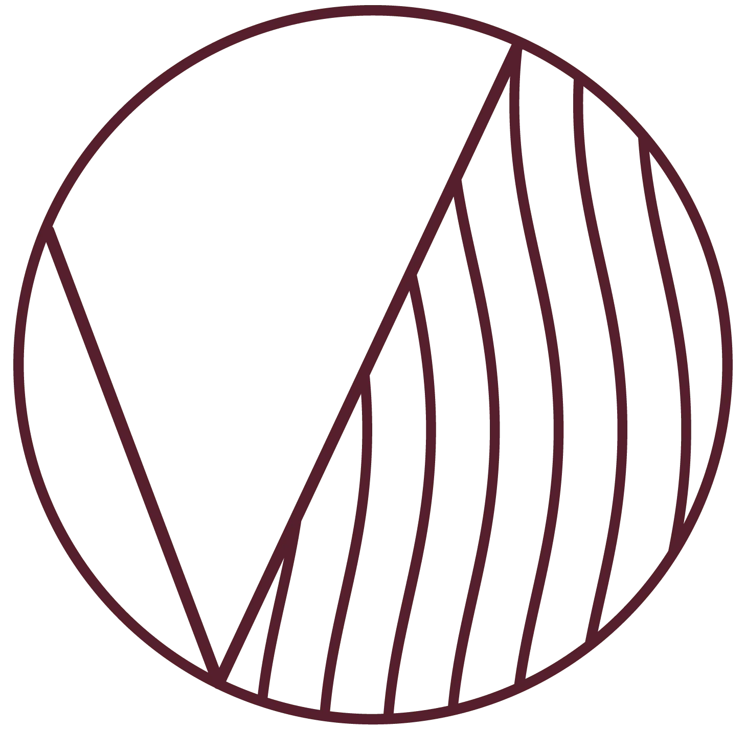 logotipo-vino-verace-10