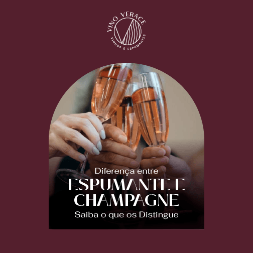 Diferença Entre Espumante e Champagne: Saiba o que os Distingue | Vino ...