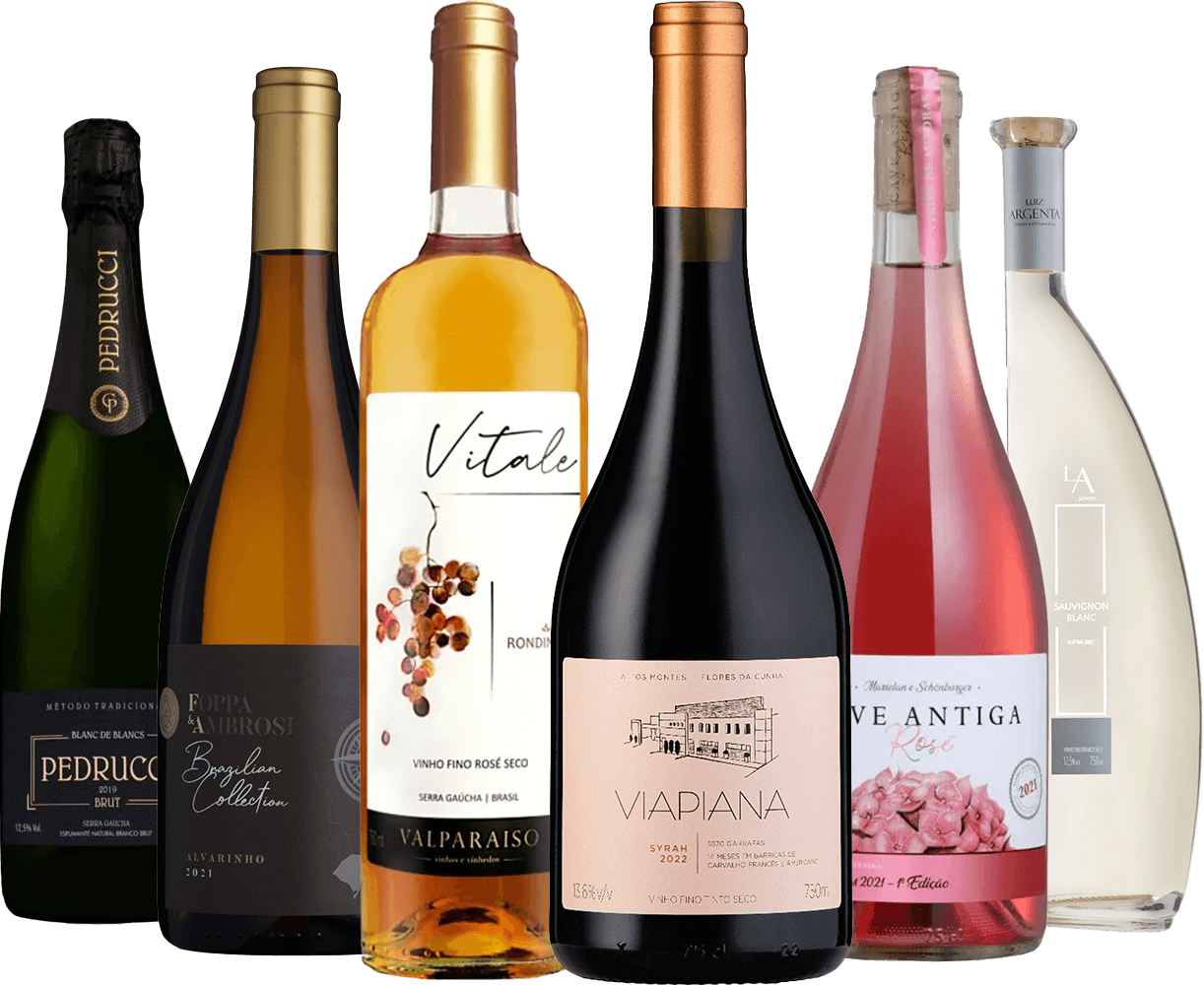 kit-vinhos-gauchos-ecleticos-
