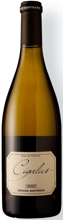 Vinho Gérard Bertrand Cigalus 750 ml | Vino Verace