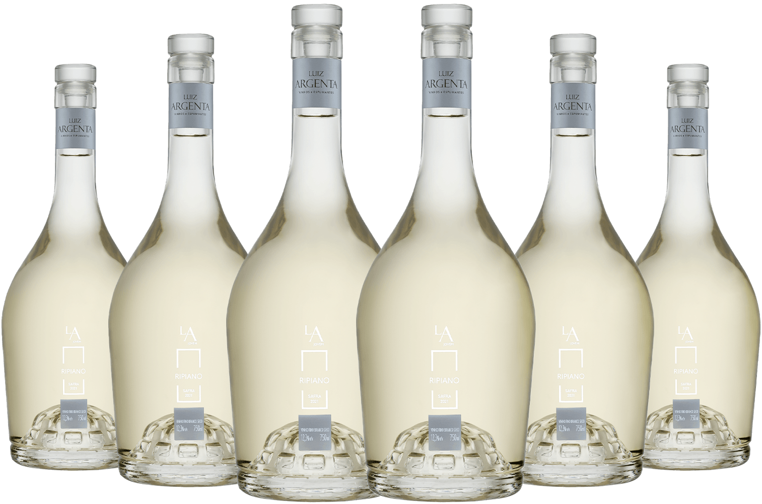 Caixa de Vinho Luiz Argenta Jovem Ripiano com 6 garrafas | Vino Verace
