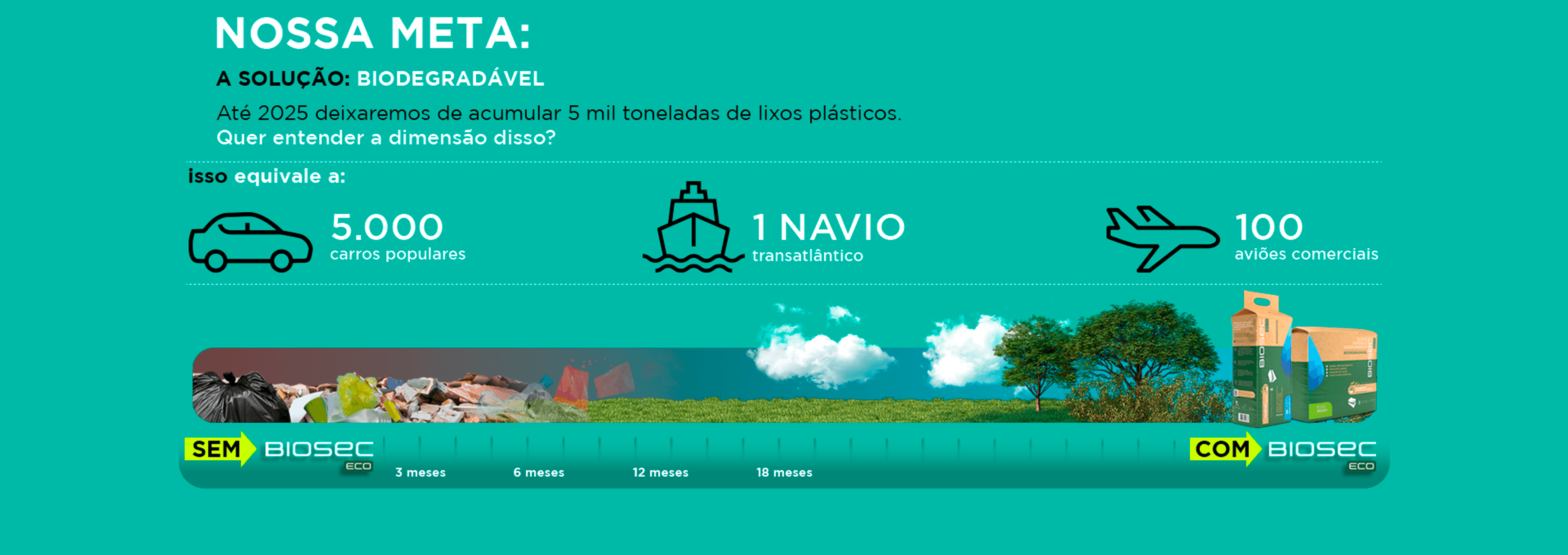 Biosec Eco® | 1° Tapete Higiênico Biodegradável para Cães do Mundo ...