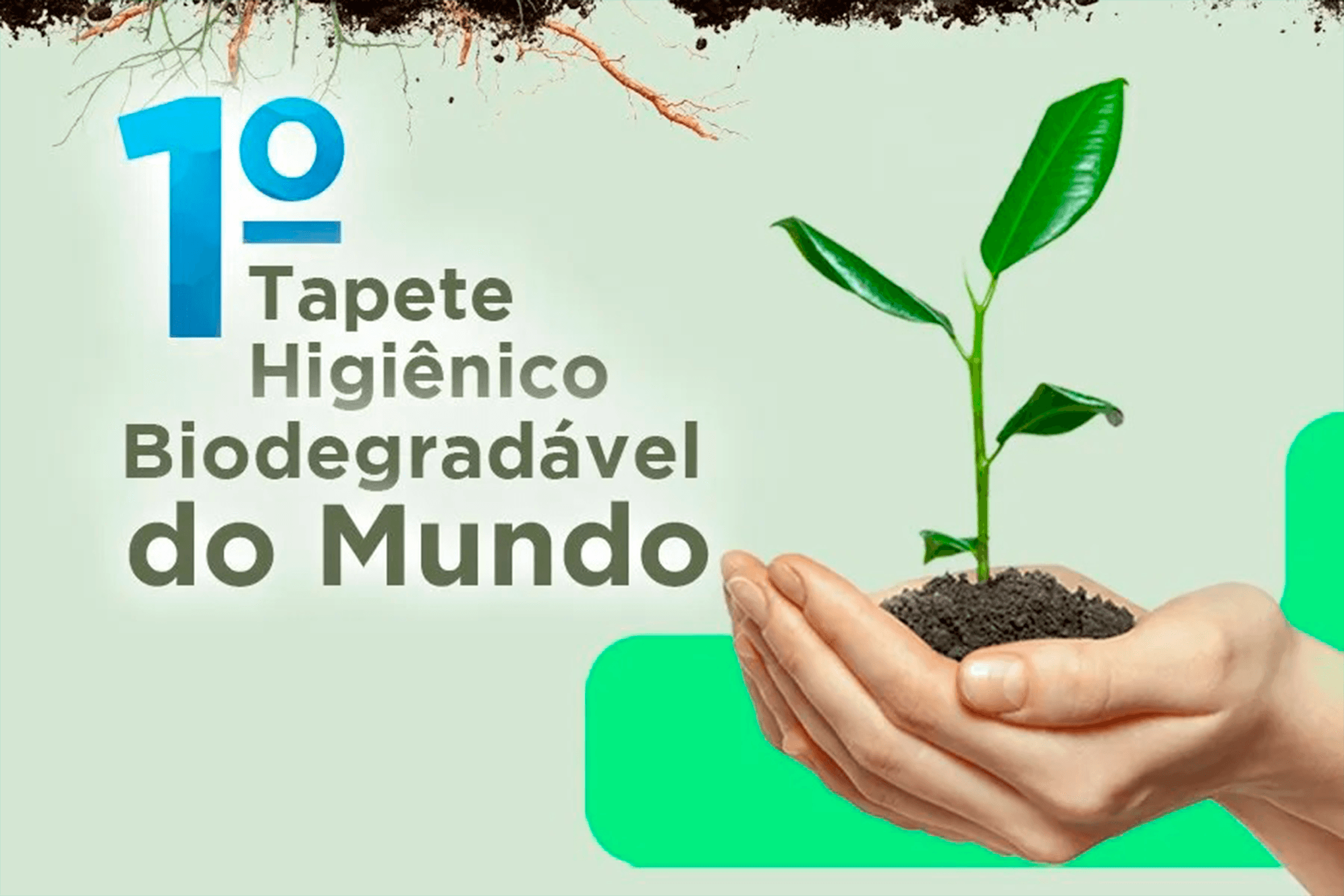 Biosec Eco® | 1° Tapete Higiênico Biodegradável para Cães do Mundo ...