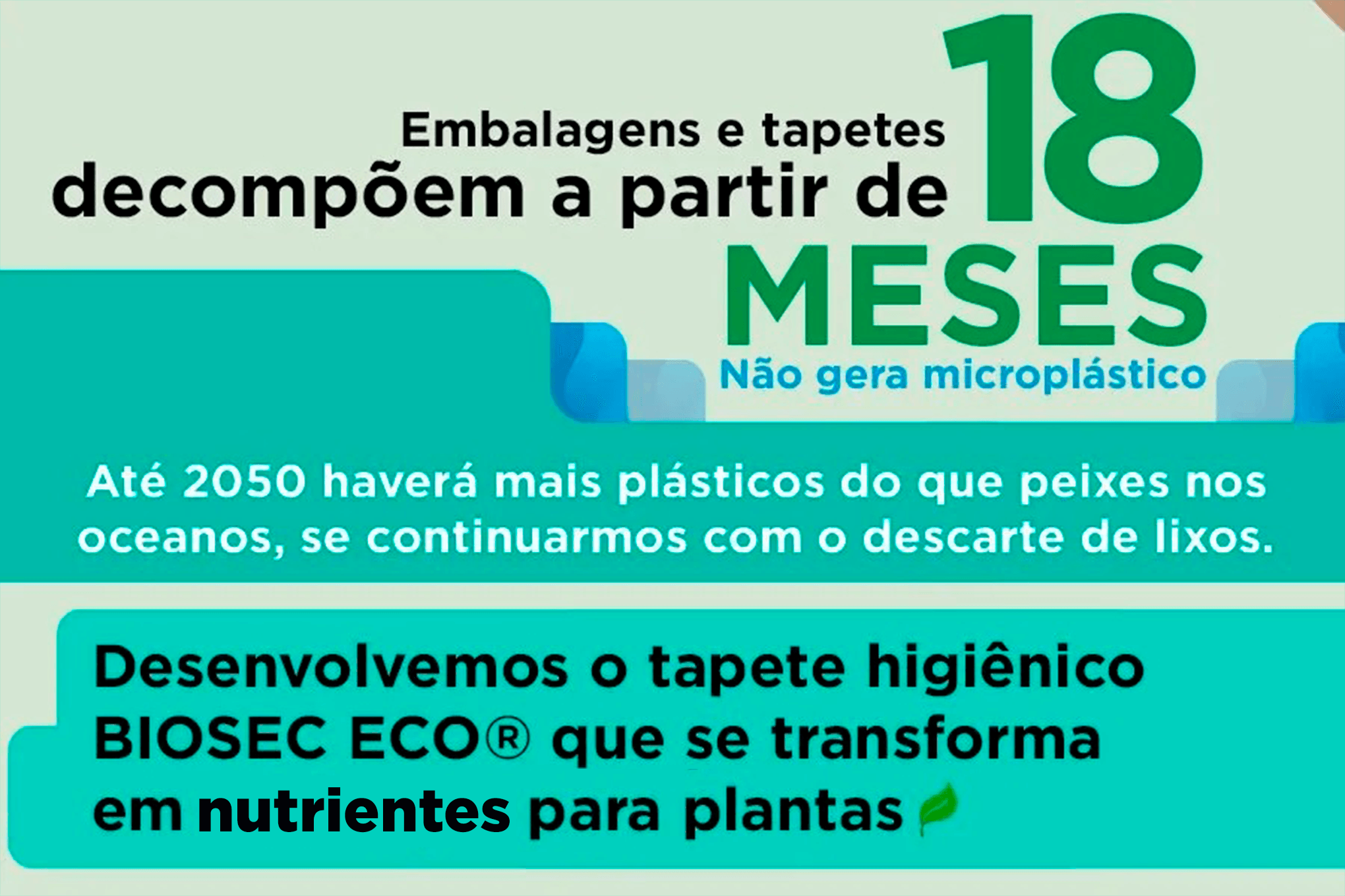 Biosec Eco® | 1° Tapete Higiênico Biodegradável para Cães do Mundo ...