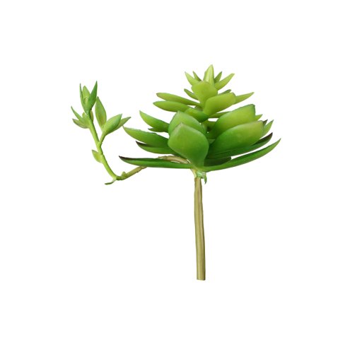 Green Botanical Stem