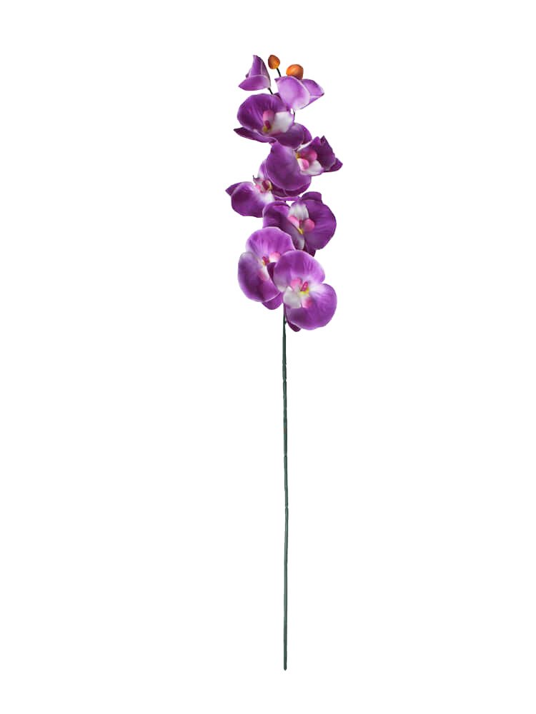 Haste Orquídea  (67,5 cm)