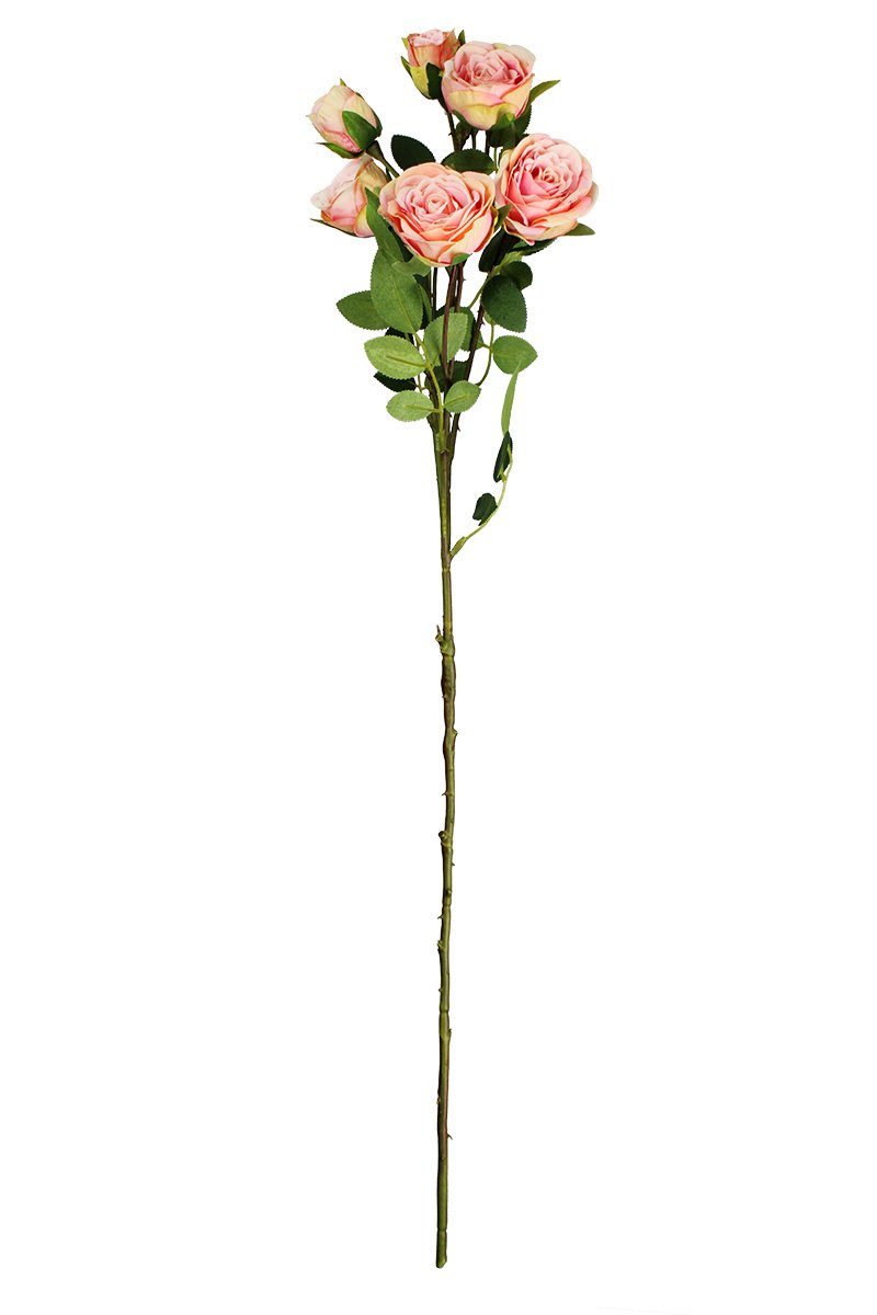 Haste de Rosas (66 cm)