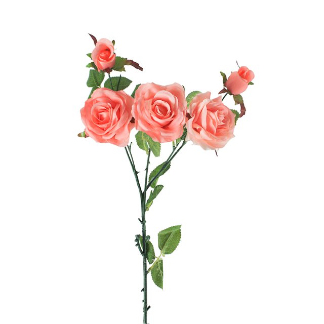 Haste de rosas (80 cm)