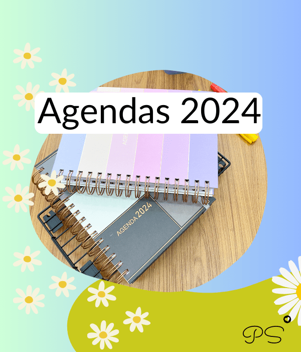 Agenda 2024 Disney Stitch Grande DAC - Agendas e Calendários - Magazine  Luiza