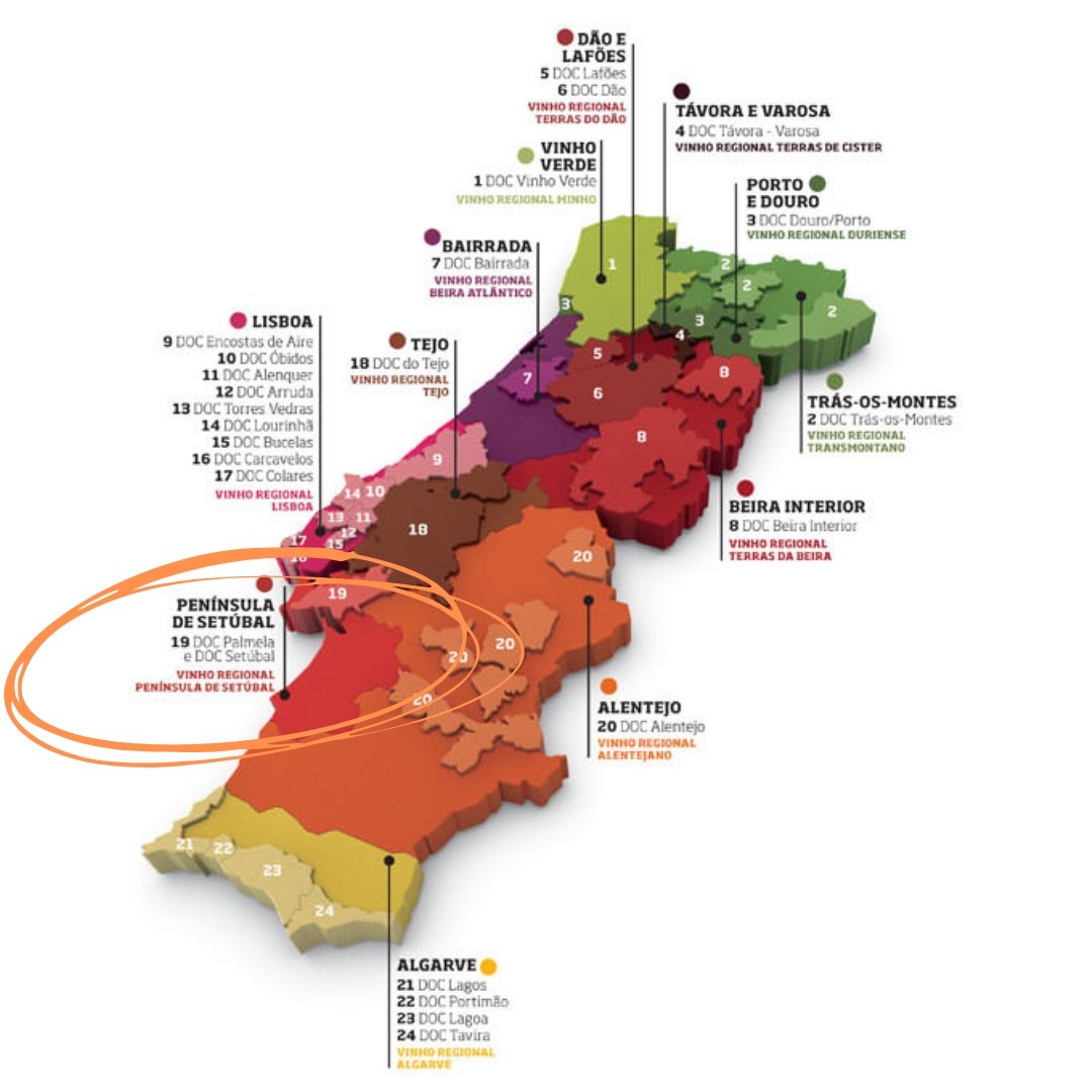 Revista Eno Estilo  Mapa completo do vinho de Portugal