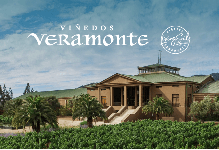 vinedos veramonte vinhos veganos | Vinhologue