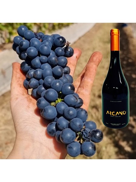 Vinho Tinto Arcano Syrah 2021 | Vinhologue