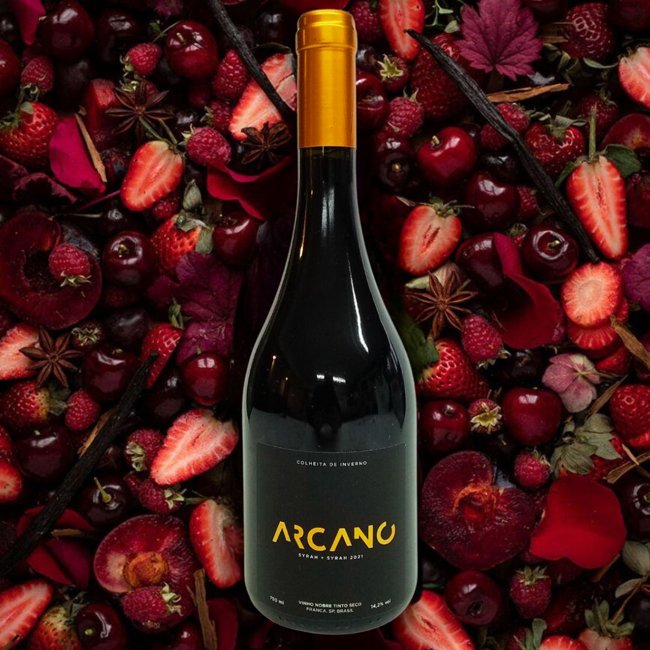 Arcano Syrah Premiados Decanter Awards | Vinhologue