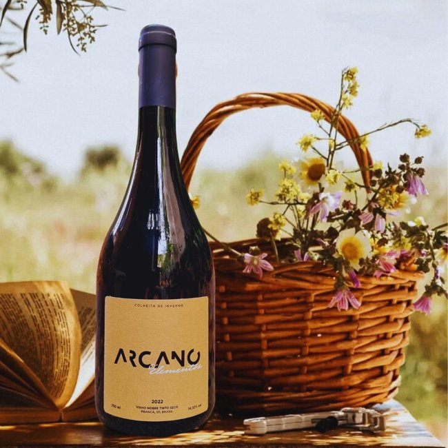 Arcano Syrah Premiados Decanter Awards | Vinhologue