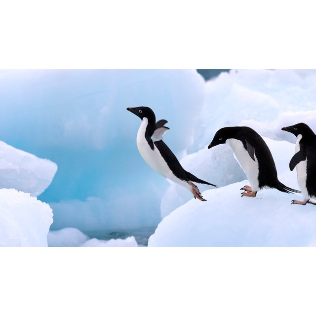 Teste Novo Upload Imagens