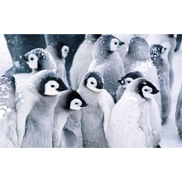 Teste imagens Editada