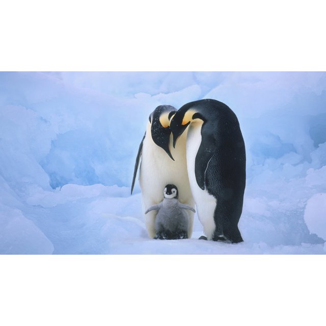 Teste imagens Editada