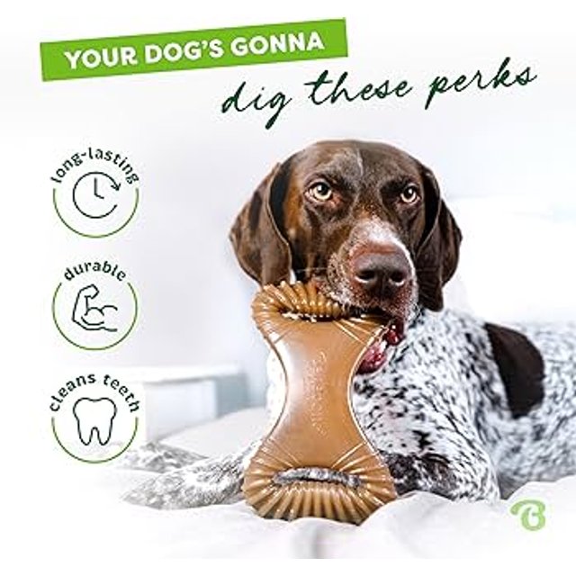 Benebone Dental Chew Bacon G | Box Natural Pet