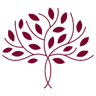 Logo de Albero Blu