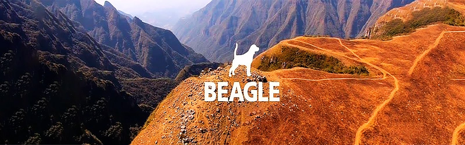 beagle-1600x500-1