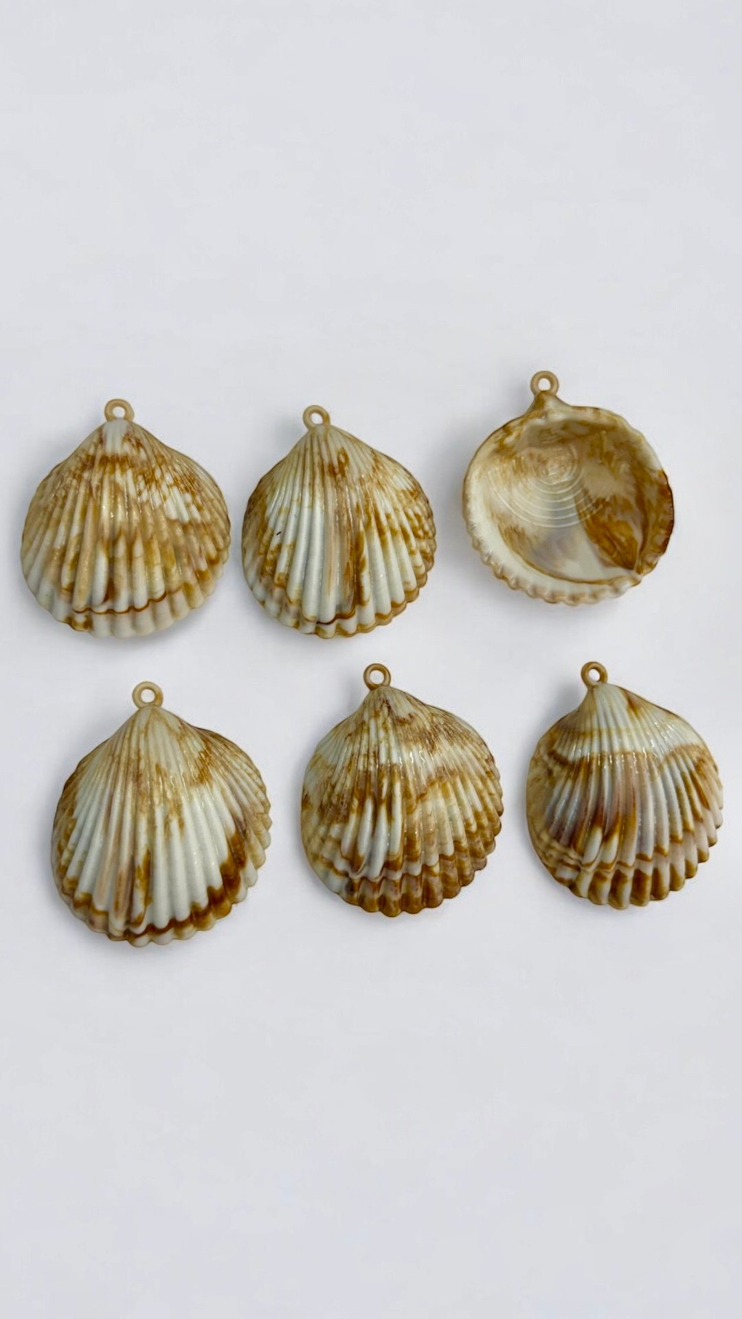 Concha Master - 9 unidades | Kim