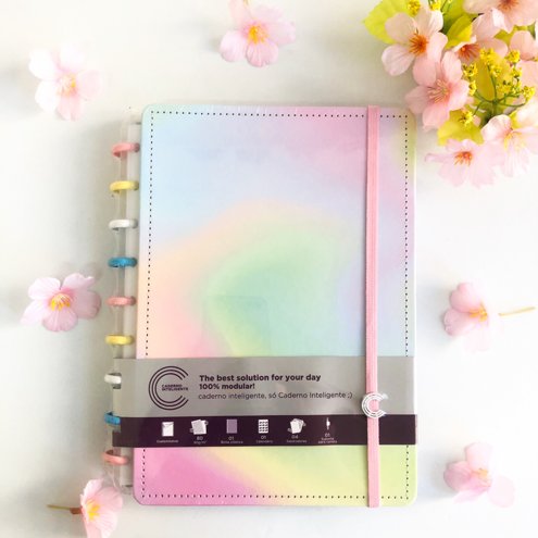 Estojo Inteligente Crystal Cool Grey - Caderno Inteligente ®