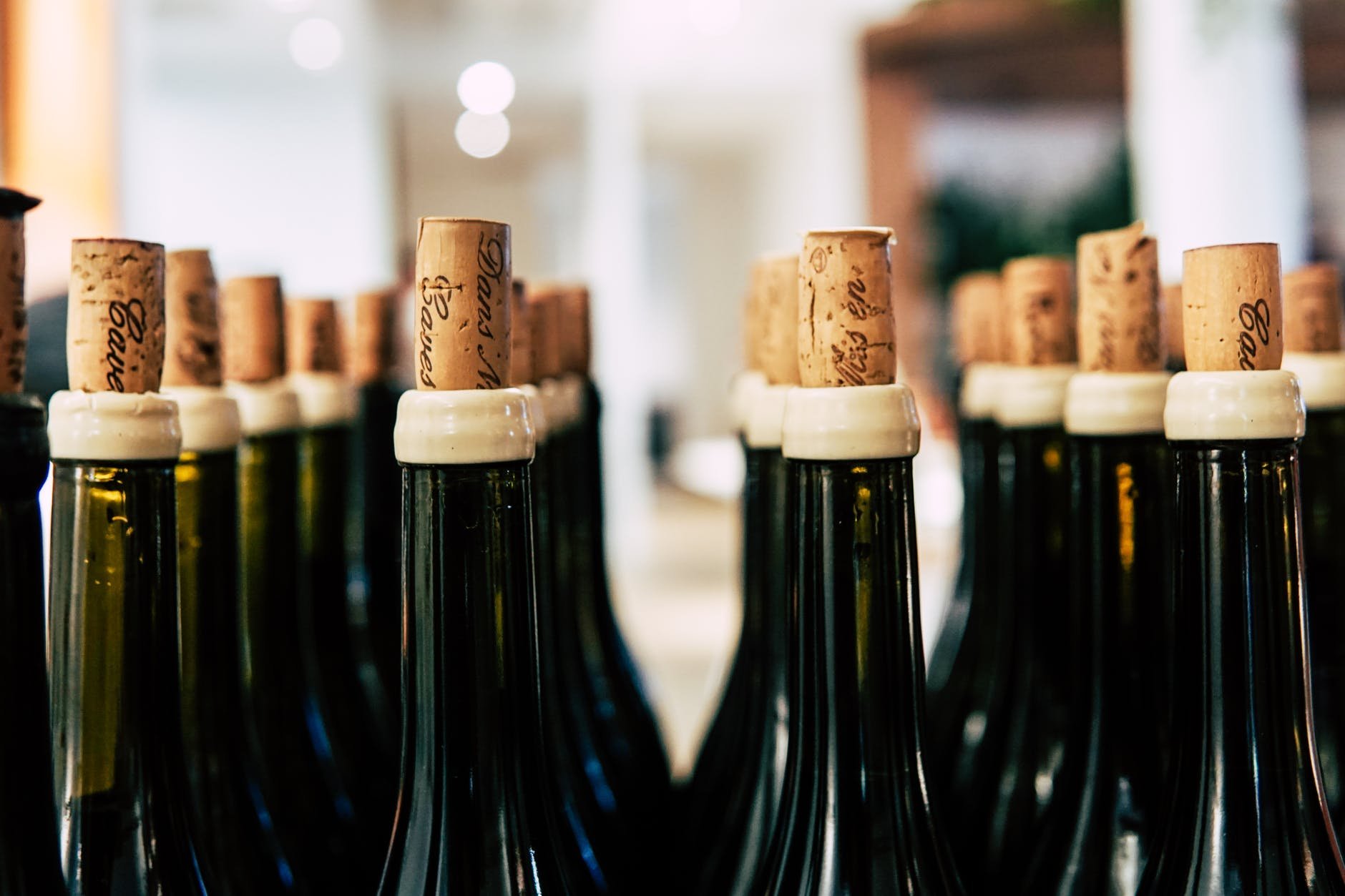 8 curiosidades que você não sabia sobre vinhos