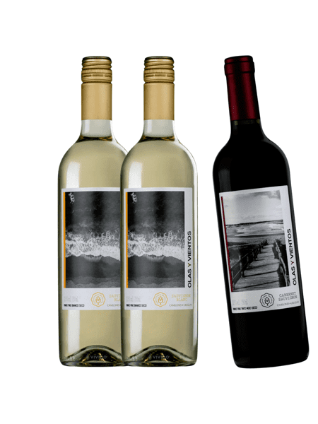 Vinho Olas Y Vientos Sauvignon Blanc + Cabernet 750ml