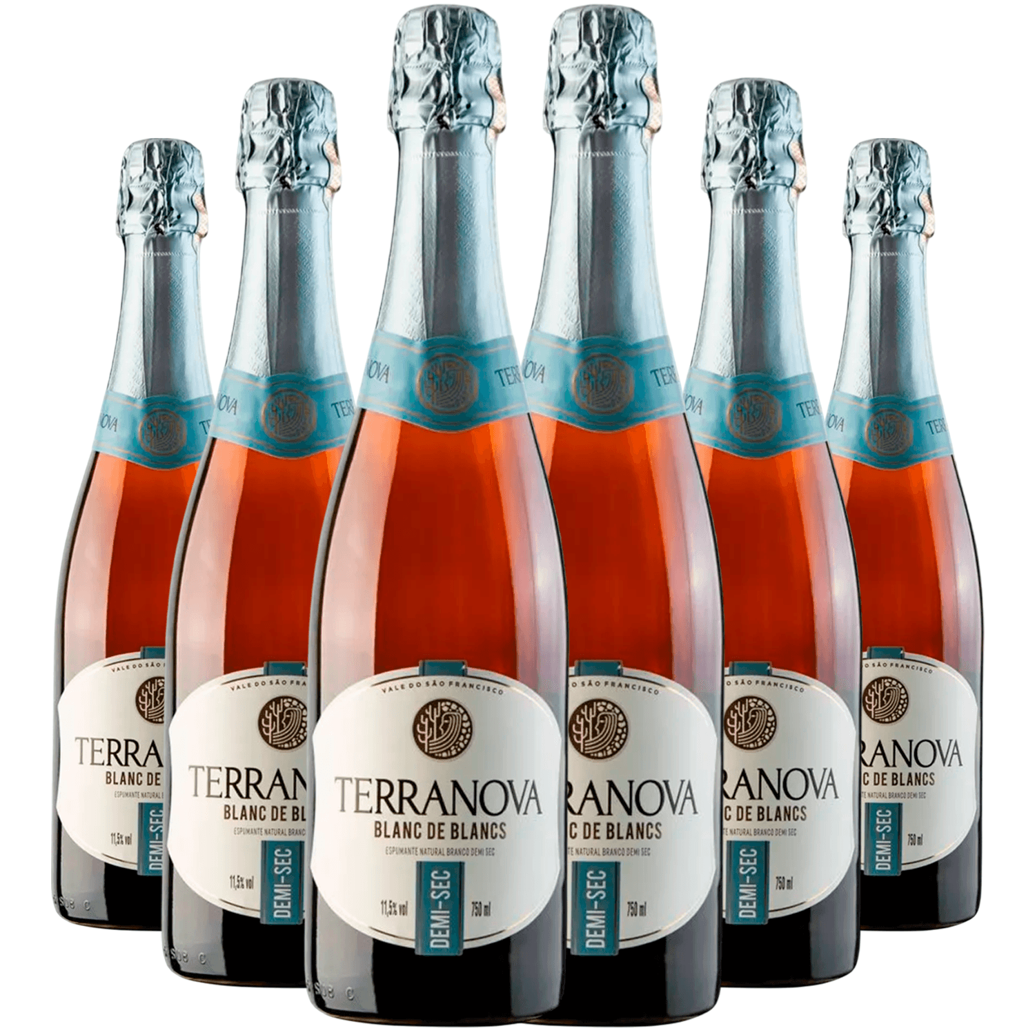 Espumante Terranova Branco Demi Sec Brasil Blanc de Blancs Chenin Blanc, Sauvignon Blanc, Verdejo 750ml - 6 Unidades