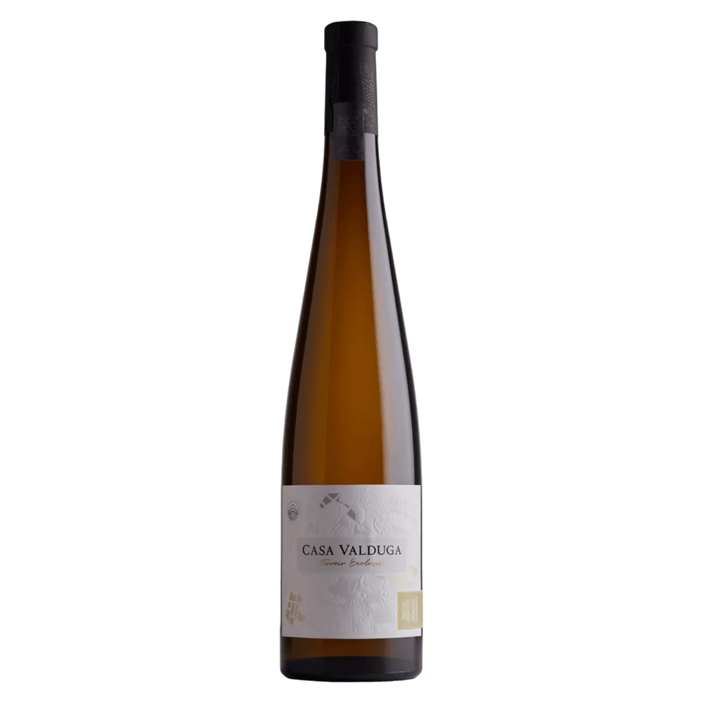 Vinho Casa Valduga Branco Seco Brasil Terroir Exclusivo Gewurztraminer 750ml