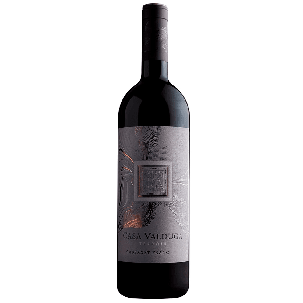 Vinho Casa Valduga Tinto Seco Brasil Terroir Exclusivo Cabernet Franc 750ml