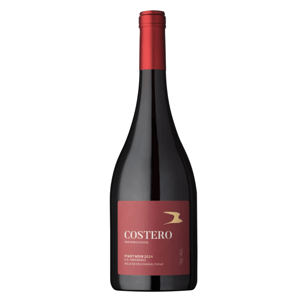 Vinho Vinícola Família Geisse Tinto Seco Chile Mário Geisse Costero Pinot Noir 750ml