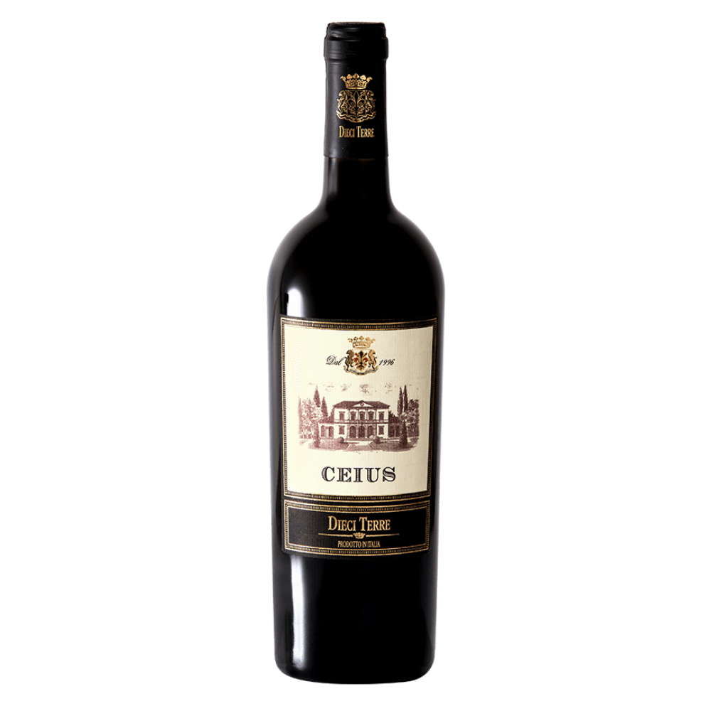 Vinho Dieci Terre Tinto Seco Itália Rosso Blend 750ml