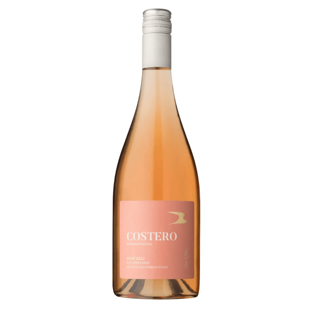 Vinho Vinícola Família Geisse Rosé Seco Chile Mário Geisse Costero Blend 750ml