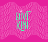 Logo de Divikini Store