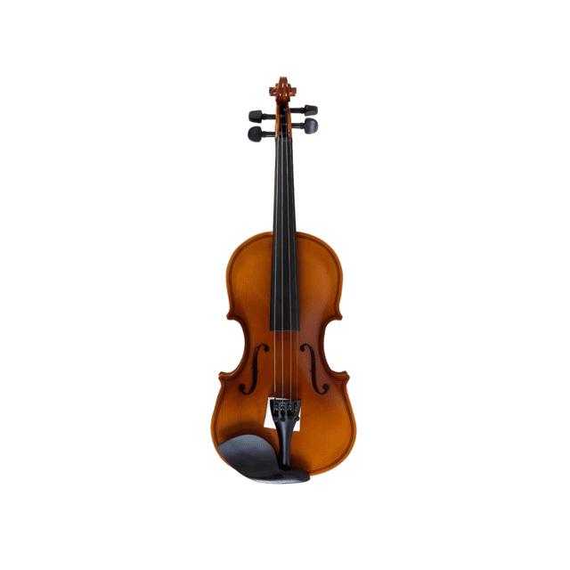Violino Benson BVR 301 1/2 da Série Ruggeri Verniz Brilhante