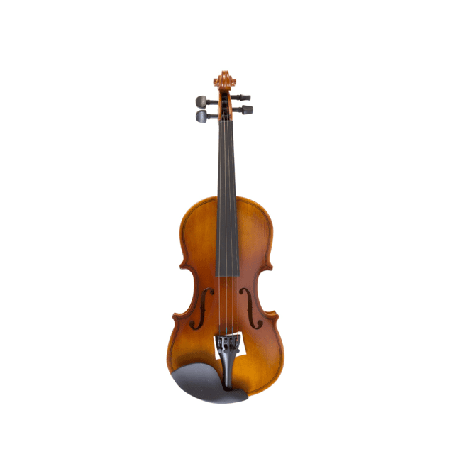 Violino Benson BVR 302S 1/2 da Série Ruggeri Verniz Fosco